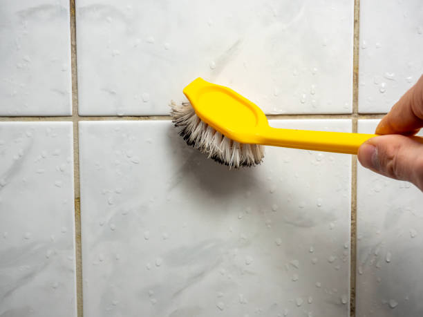 Best Industrial Mold Remediation in Avon Lake, OH