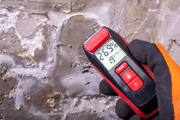 Best Black Mold Remediation in Avon Lake, OH