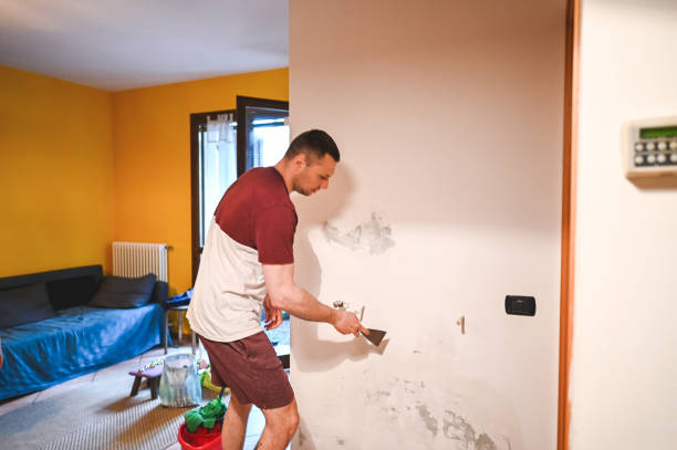 Best Bathroom Mold Remediation in Avon Lake, OH
